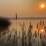 Moewen